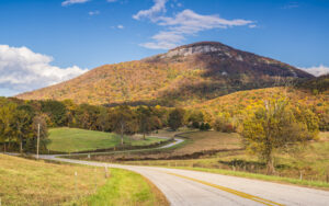 DOT agency OKs relief funds to fix storm-damaged Georgia roads