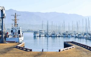 AAPA to release port surface transportation survey
